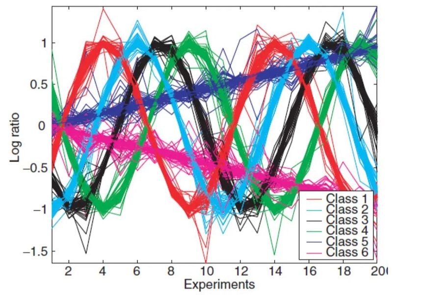 باحثون عُمانيون يطورون معادلة رياضية ثورية لتعزيز كفاءة خوارزميات الذكاء الاصطناعي