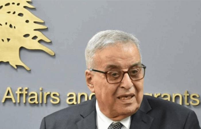 بوحبيب عرض مع سفيرة سويسرا الأوضاع في جنوب لبنان