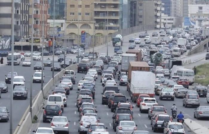 بالصورة.. "رأس أرنب" يتجوّل على أوتوستراد لبنانيّ!