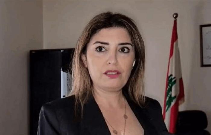 الترك تابعت مستجدات الإيواء في الجنوب وبحثت دعم النازحين