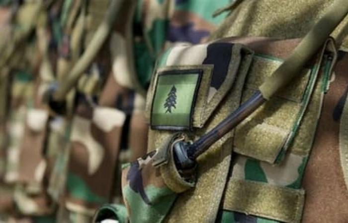الجيش يبدأ تحقيقاته بحادثة مقتل إيليو أبو حنا