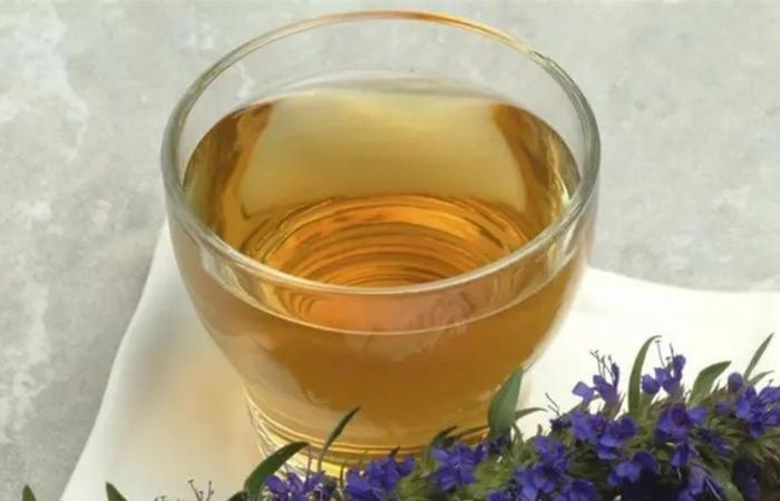 مشروبات ليلية تساعد على إنقاص الوزن.. اليكم ابرزها