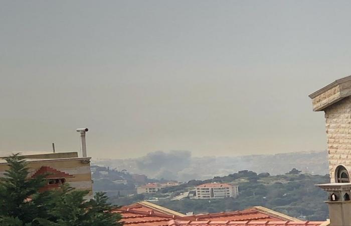 واشنطن: قرار نزع السلاح حاسم في لبنان!