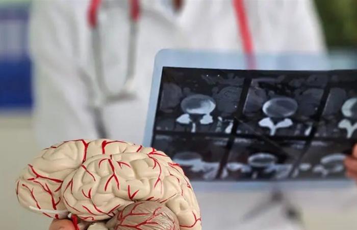 دراسة جديدة.. لهذه الاسباب أدمغة الرجال تعمل بشكل مختلف عن النساء