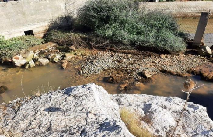 انخفاض ملحوظ في منسوب مياه نبع الصفا