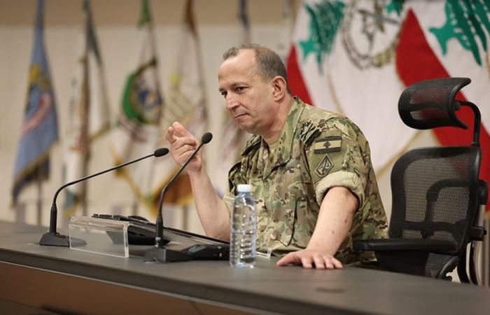 هيكل بحث مع ممثلة المفوضية لشؤون اللاجئين في الأوضاع