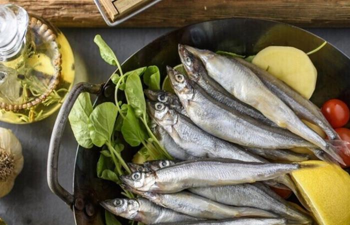 أطعمة فعّالة لخفض ضغط الدم وتحسين صحة الأوعية الدموية.. ما هي؟