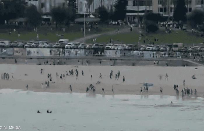 بالفيديو والصور: إطلاق نار باحتفال يهودي في سيدني