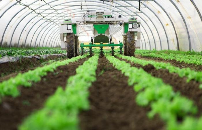 قصص نجاحات نوعيّة في هذه القطاعات!