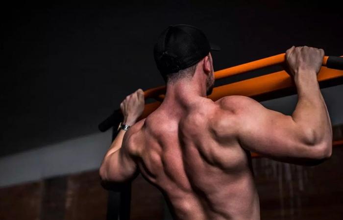 البروتين أم الكرياتين.. أي مكمل غذائي الأنسب لبناء العضلات؟