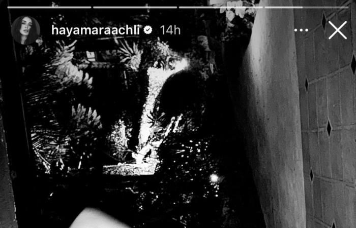 هيا مرعشلي تبهر الجمهور بإطلالة أنثوية راقية (صورة)