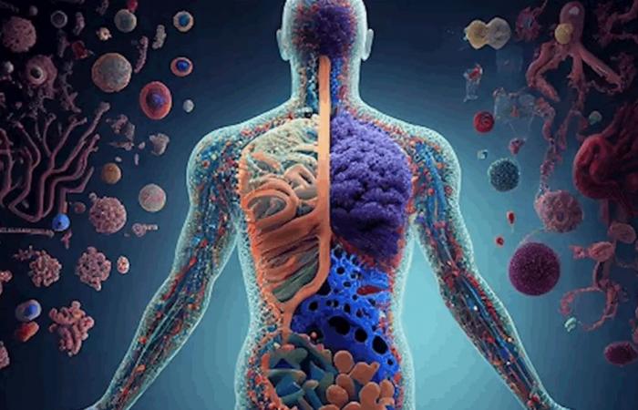 مشاكل الجهاز المناعي.. 10 علامات قد تظهر على الجسم