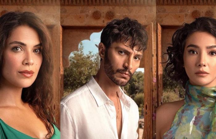 بسبب تعدد الزوجات.. فرض غرامة مالية على مسلسل تركي شهير