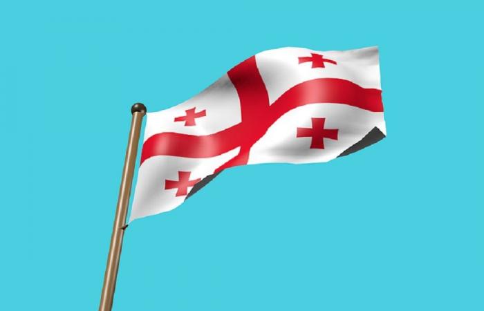 رئيس وزراء جورجيا: أحبطنا 5 محاولات لتنفيذ ثورة