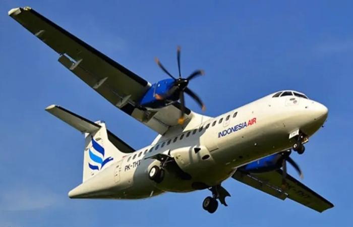 إندونيسيا تعثر على جثث 10 من ركاب الطائرة المفقودة