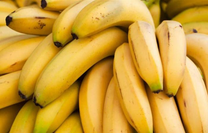 الموز.. فاكهة لذيذة وفوائد صحية متعددة