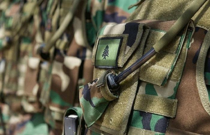 الجيش: تفجير ذخائر في وادي زبقين