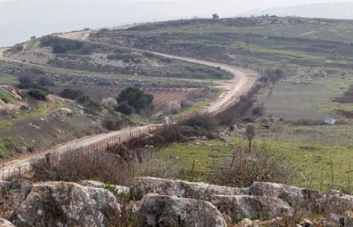 تمشيط إسرائيلي لأحراج اللبونة