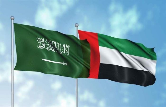 البحرين ومصر تحاولان احتواء التوتر بين السعودية والإمارات