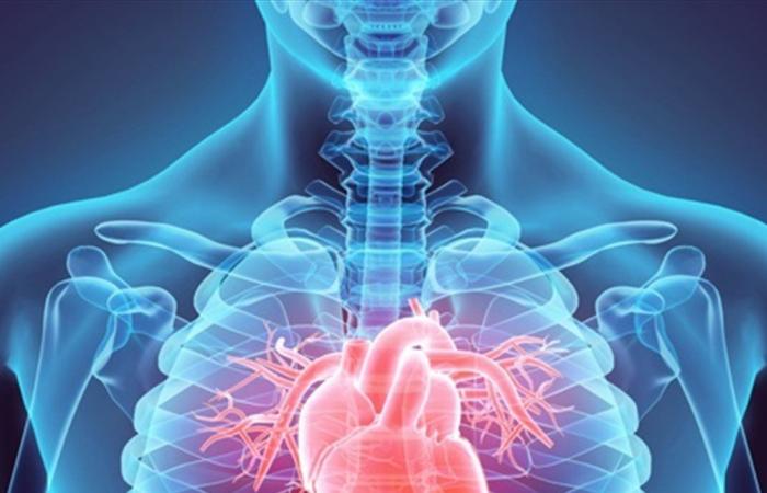 طرق الوقاية من أمراض القلب وارتفاع الضغط