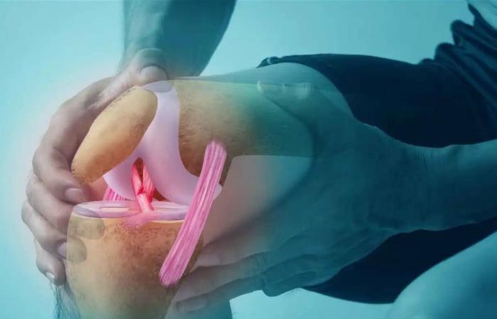 أدوية خفض الوزن قد تعيد بناء الغضاريف في أكثر أنواع التهاب المفاصل انتشارًا