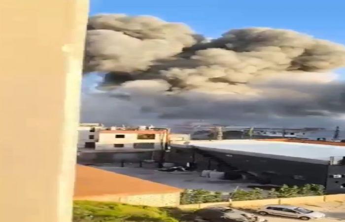 سلسلة غارات على الجنوب