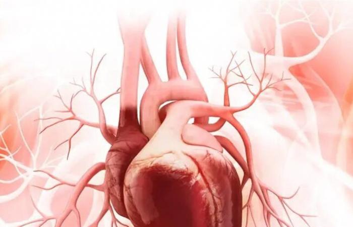 أهمية النظام الغذائي لصحة القلب والشرايين