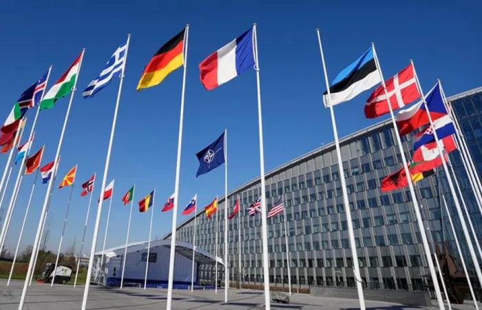 نمرٌ من ورق… عندما وصف ترامب حلفاءه بالجبناء