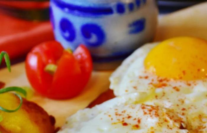 البيض أم الشوفان على مائدة الإفطار؟