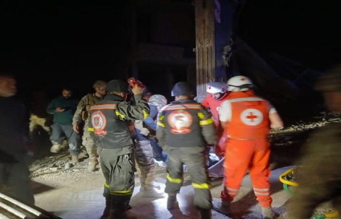 استشهاد الصحافية أمال خليل!