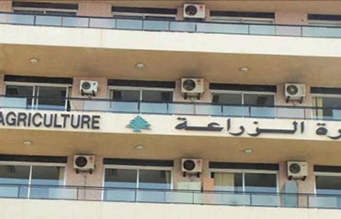 “الزراعة”: لاستخدام المبيدات الزراعية المسجّلة