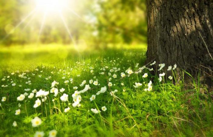 إليكم تفاصيل طقس الأيام المُقبلة