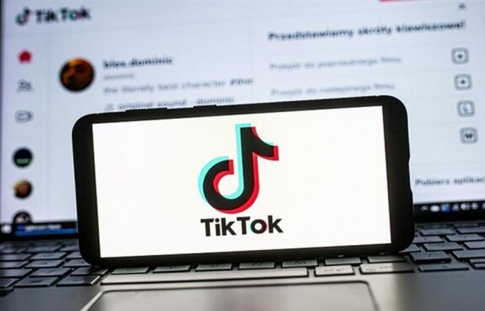 لبنان من بينها... شركة "تيك توك" تحذف ملايين الحسابات في الدول العربية