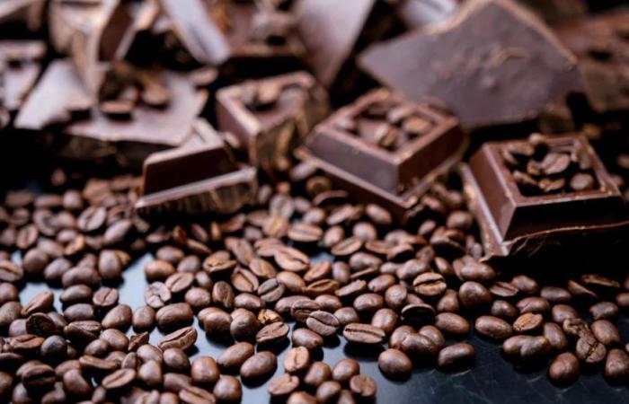 ضبط كميات كبيرة من بضائع مهربة في طرابلس