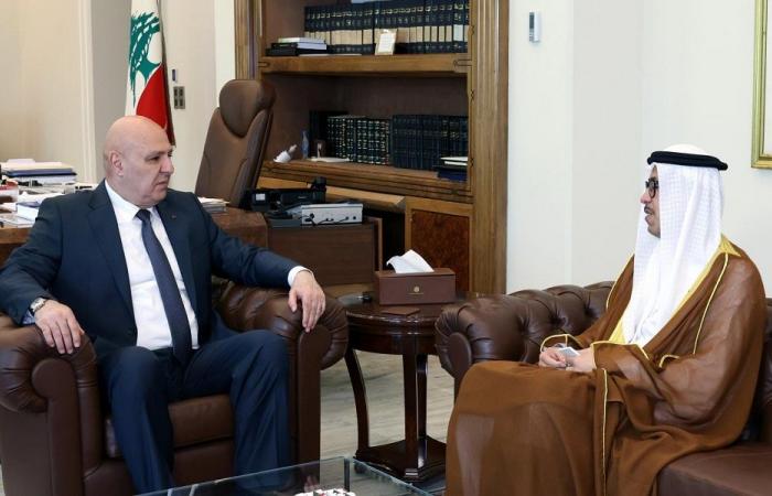 الأوضاع العامة بين عون وسفير دولة الإمارات