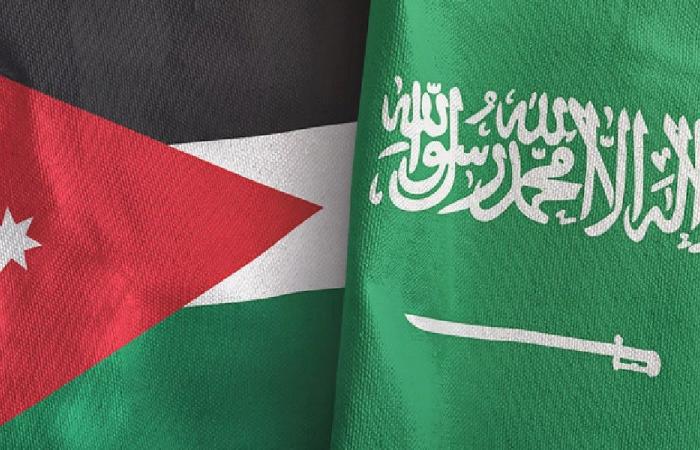 الصفدي وبن فرحان يبحثان تطورات المنطقة
