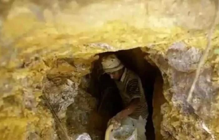 فاجعة داخل أكبر منجم للذهب في مصر