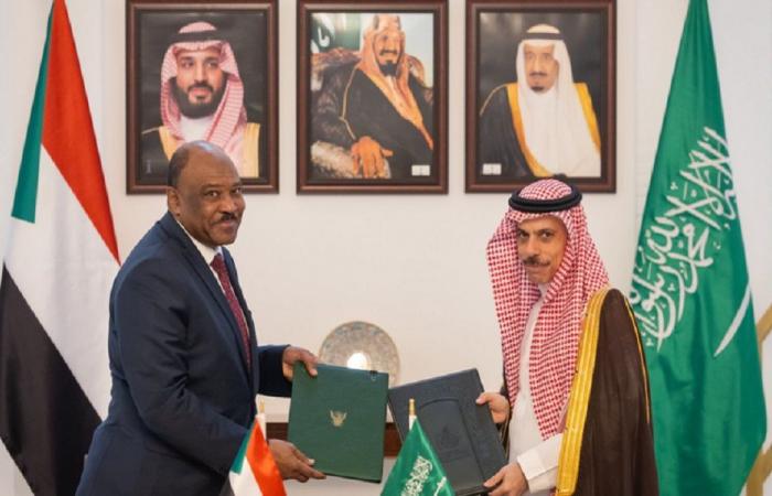 إنشاء مجلس تنسيق سعودي – سوداني
