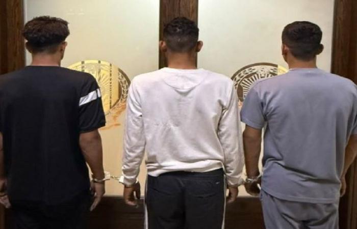 عصابة سرقة في قبضة أمن الدولة