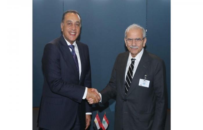سلام ومدبولي يبحثان تثبيت الاستقرار وتعزيز التعاون بين لبنان ومصر