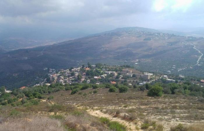 بلدية دير ميماس: لا تتوجّهوا الى حقول الزيتون!