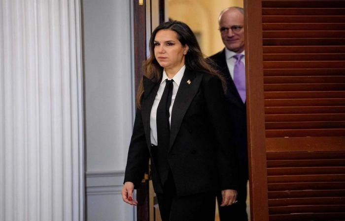 واشنطن: من المخجل ملاحقة السفيرة اللبنانية معوّض!