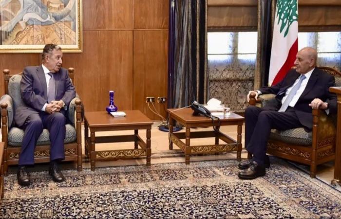 بري لفهمي: المصلحة الوطنية أولاً ونعوّل على الحراك العربي