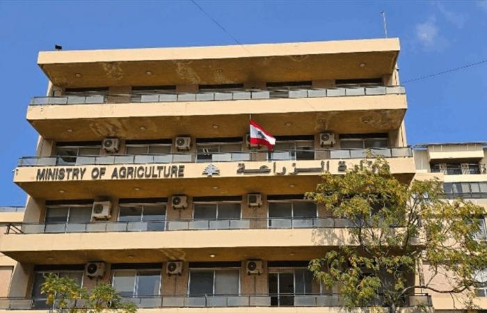 “الزراعة”: فحوصاتنا تؤكد سلامة عيّنات زيت الزيتون من الجنوب
