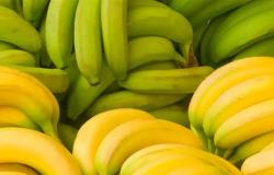 الموز الأخضر أم الأصفر؟.. دراسة تحسم الجدل حول الأفضل لمرضى السكري